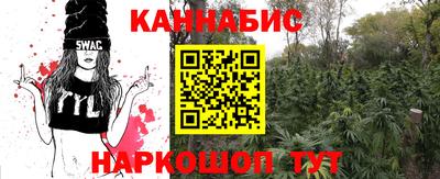 прущие грибы Донецк