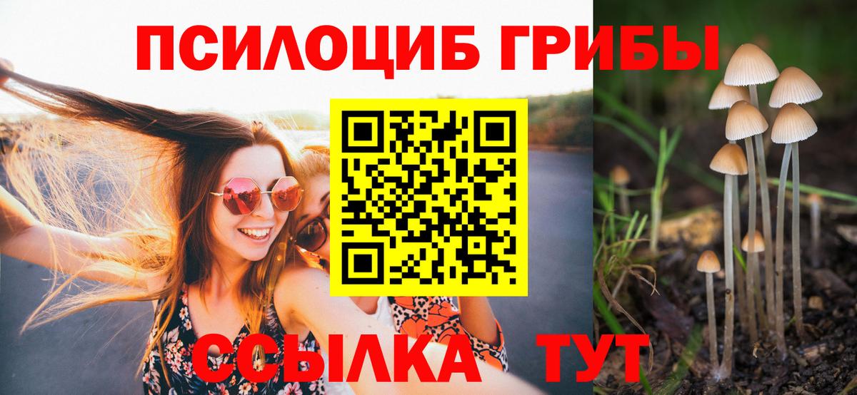 Псилоцибиновые грибы прущие грибы  Галлюциногенные грибы Magic Shrooms  сколько стоит  Нижневартовск  Вход с VPN 